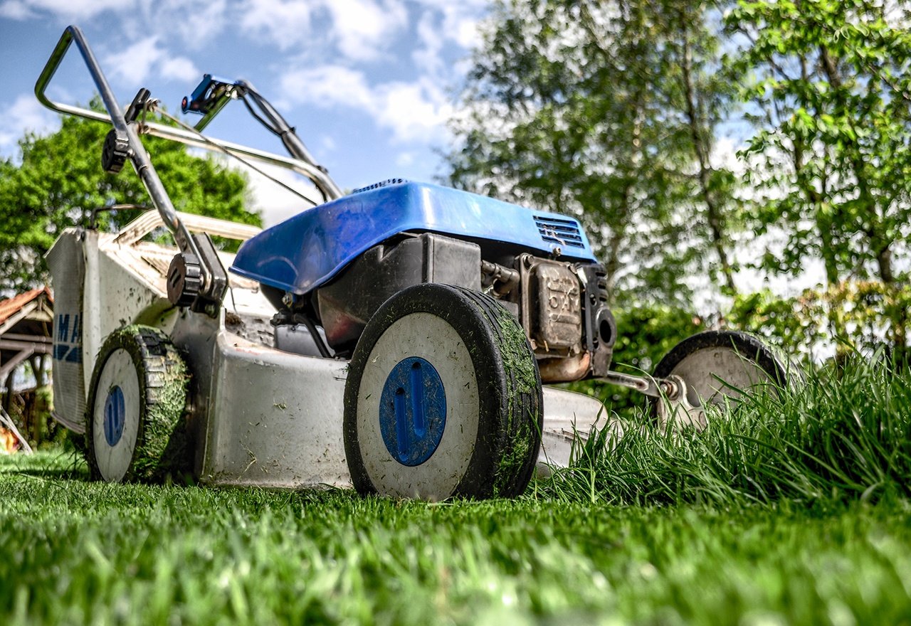 Fight Lawn Weeds Naturally